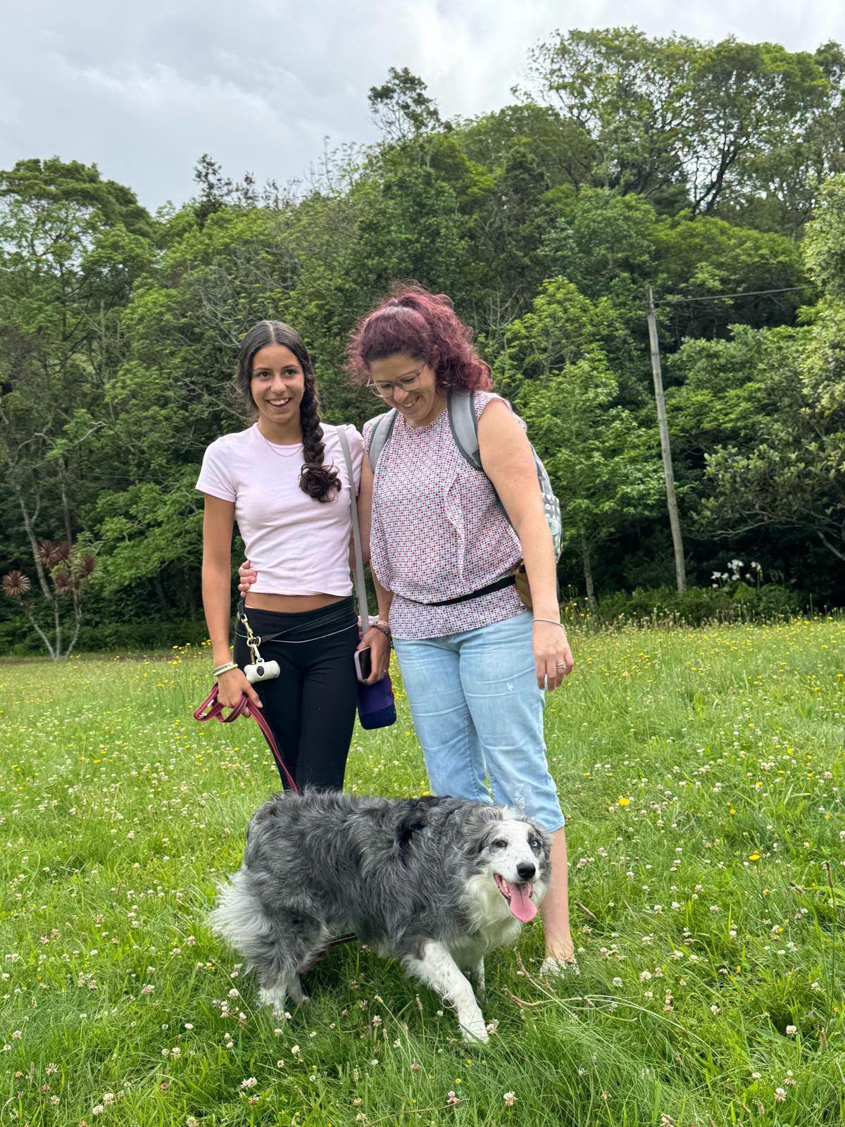 Tutores e cão em treino no exterior