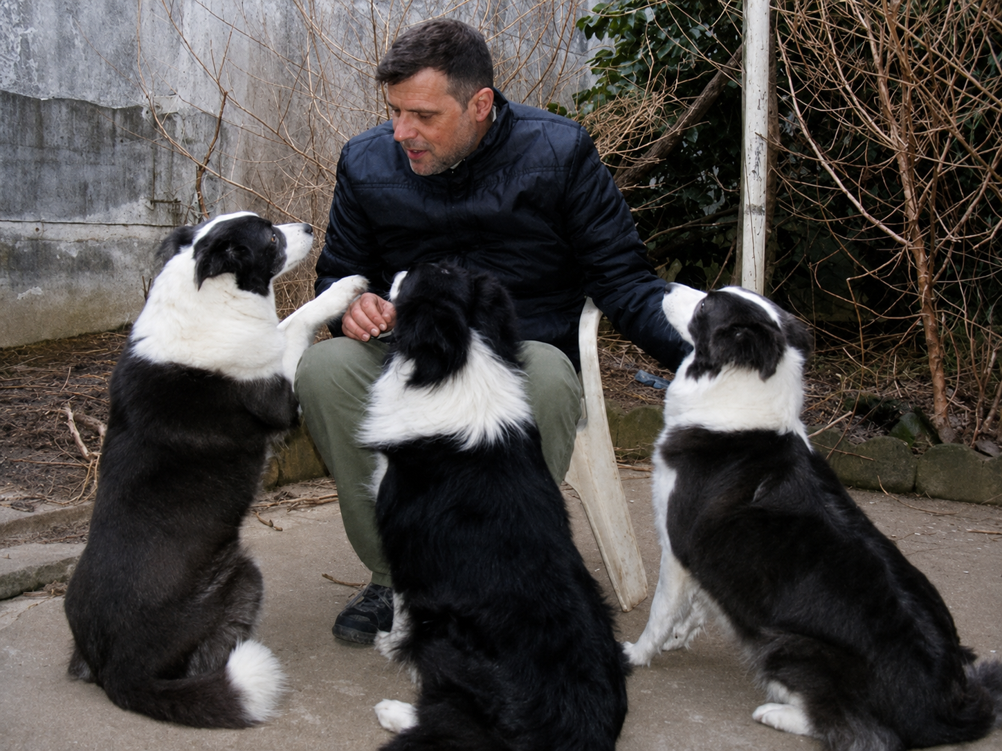 Paulo Rebelo em treino canino